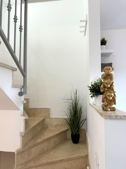 Casa Vacanza Elislor Apartments 菲乌米奇诺 外观 照片